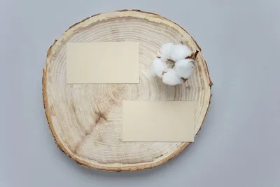 Which Are The Best Wooden Coasters For Different Needs And Styles? Which Are The Best Wooden Coasters For Different Needs And Styles?