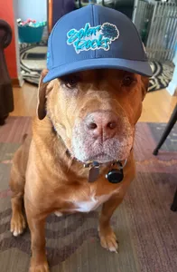 AllSignsToday.Com - Full Color TPU