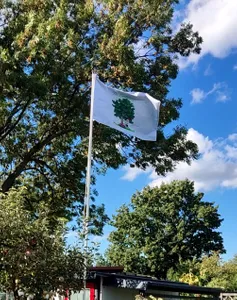 AllSignsToday.Com - Rectangle Flag