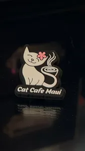 AllSignsToday.Com