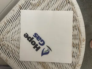 AllSignsToday.Com - Custom Paper Luncheon Napkins