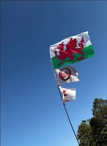 AllSignsToday.Com - Rectangle Flag