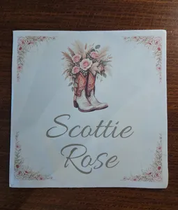AllSignsToday.Com - Custom Paper Luncheon Napkins