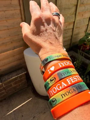 Annual Yoga Festival in Hampshire - iyengaryogafestivalcom