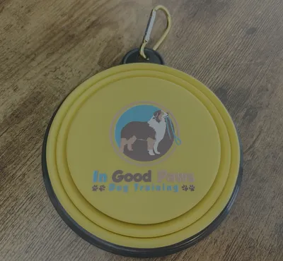 Ill be raffling off these collapsible dog water bowls at marketing talks Im doing at local apartment complexes Im a dog trainer and loved how they came out