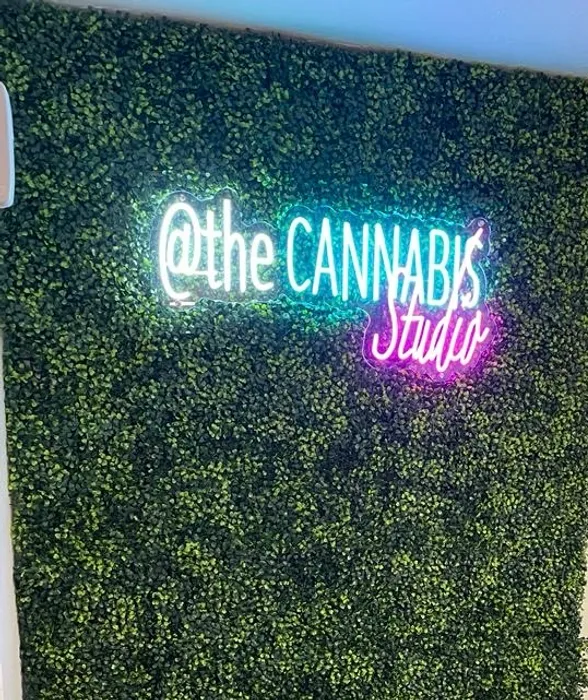 AllSignsToday.Com - Artwork Neon Sign