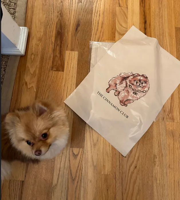 AllSignsToday.Com - Custom Poly Mailer