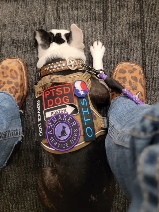 AllSignsToday.Com - Embroidered Patches