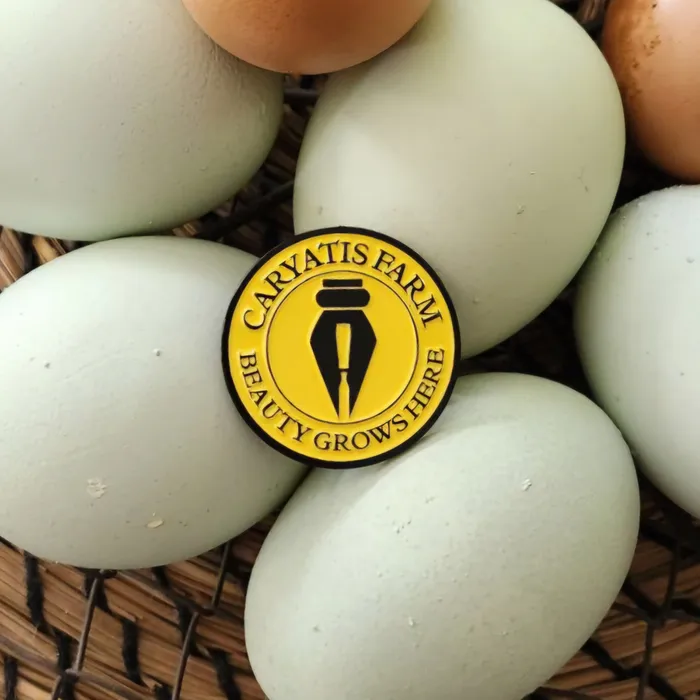 AllSignsToday.Com - Soft Enamel Pin