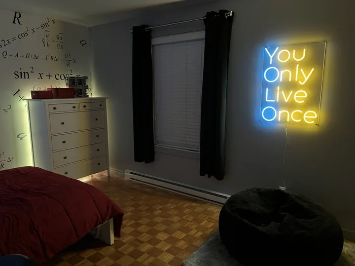 AllSignsToday.Com - You Only Live Once Neon Sign