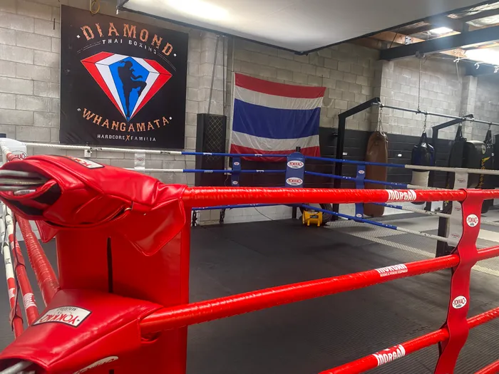 AllSignsToday.Com - Custom Vinyl Banners