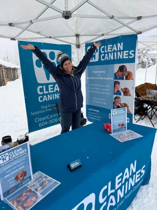 AllSignsToday.Com - Custom Vinyl Banners