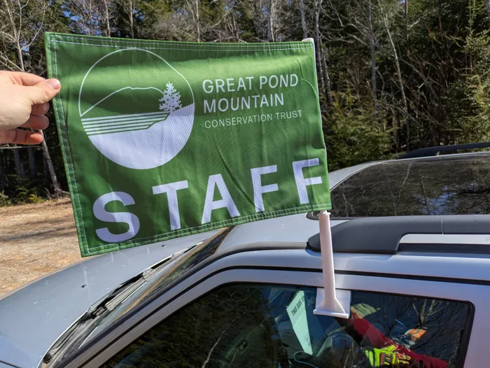 AllSignsToday.Com - Car Flag