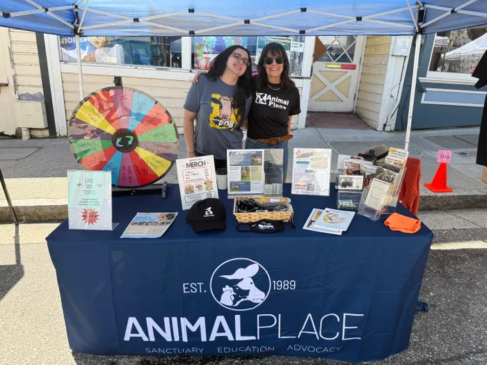 AllSignsToday.Com - Custom Rectangle Table Covers