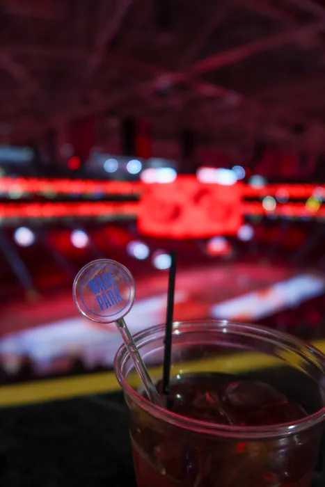 AllSignsToday.Com - Transparent Stir Sticks