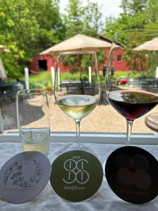 AllSignsToday.Com - Pulpboard Coasters