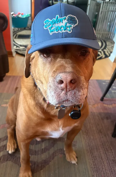 AllSignsToday.Com - Full Color TPU