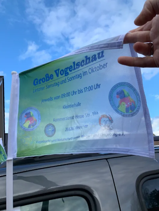 AllSignsToday.Com - Car Flag