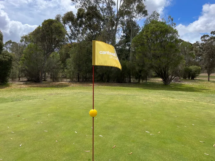 AllSignsToday.Com - Golf Flag