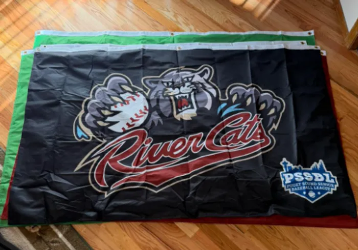 AllSignsToday.Com - Rectangle Flag