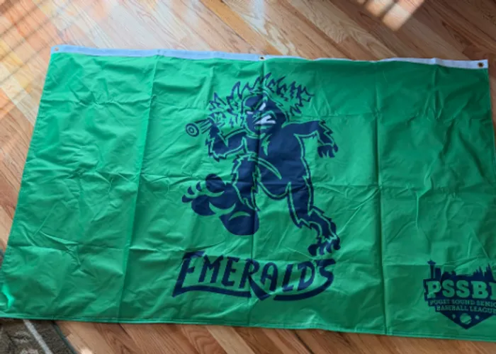 AllSignsToday.Com - Rectangle Flag