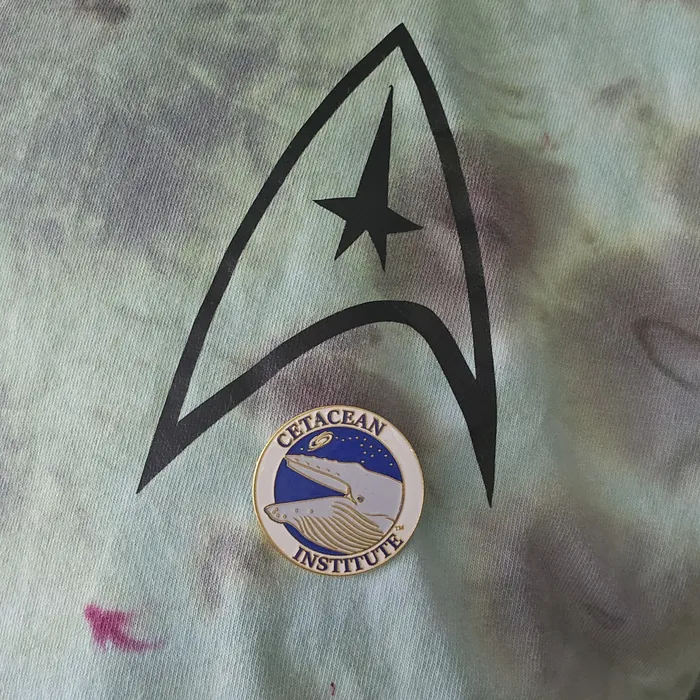 AllSignsToday.Com - Hard Enamel Pin