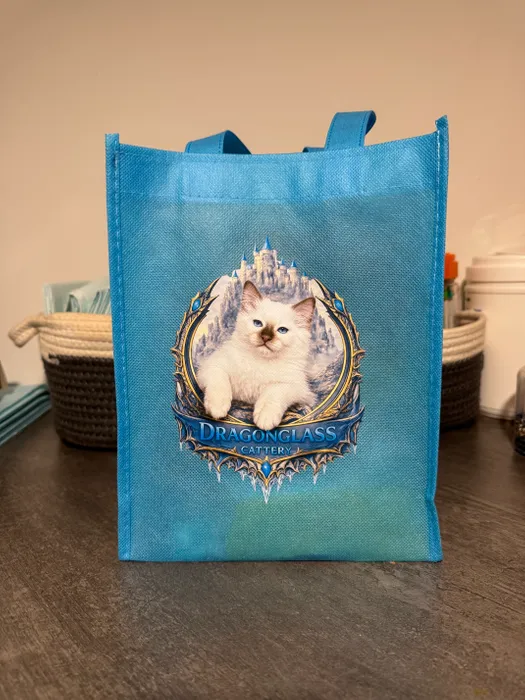 AllSignsToday.Com - Custom Small Gift Tote Bag