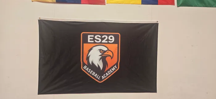 AllSignsToday.Com - Rectangle Flag