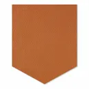 Shape 29 Shape 29 - All Signs Today