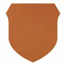 Shape 31 Shape 31 - All Signs Today