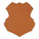 Shape 34 Shape 34 - All Signs Today