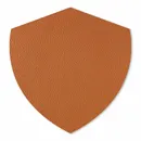 Shape 37 Shape 37 - All Signs Today