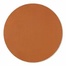 Circle Circle - All Signs Today