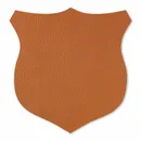 Shape 17 Shape 17 - All Signs Today