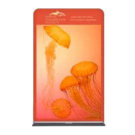 EZ Extend Displays - All Signs Today