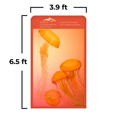 3.9 x 6.5 ft 3.9 x 6.5 ft - All Signs Today