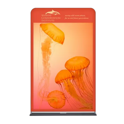 With Stand With Stand - All Signs Today