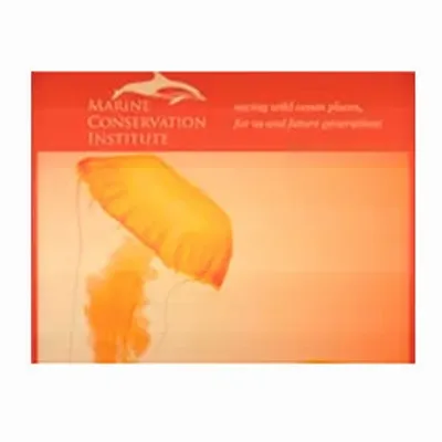 None None - All Signs Today