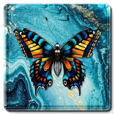 Square - All Signs Today