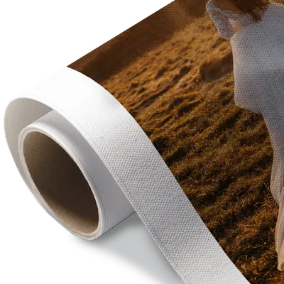 Rolled Canvas Rolled Canvas - All Signs Today