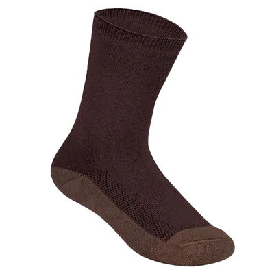 Regular Regular - All Signs Today