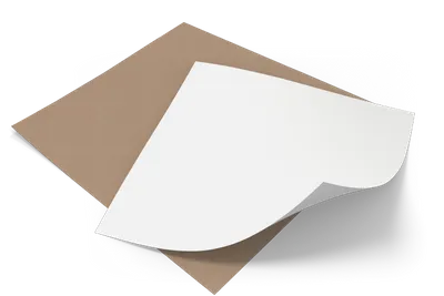 No Imprint - Blank No Imprint - Blank - All Signs Today