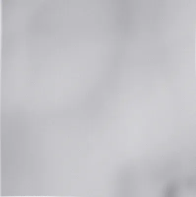 White White - All Signs Today