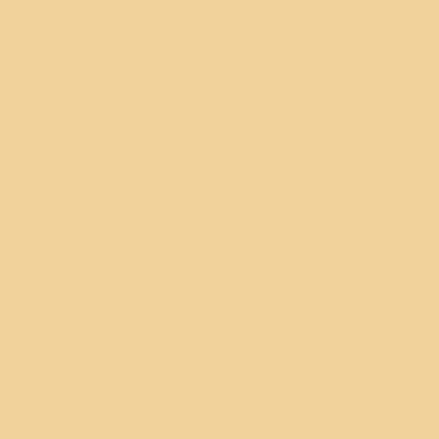 Warm White - All Signs Today