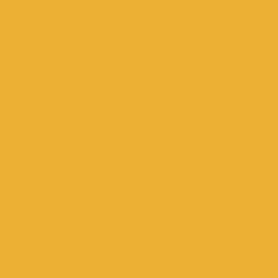 Orange - All Signs Today
