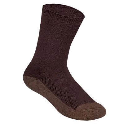 Regular Regular - All Signs Today