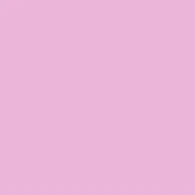 Pink Pink - All Signs Today