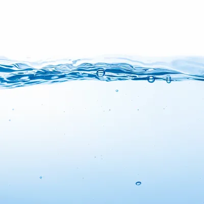 Spring Water Spring Water - All Signs Today