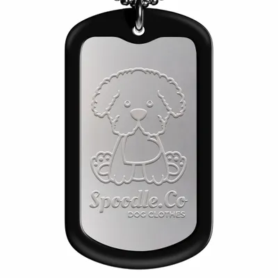 Black - All Signs Today