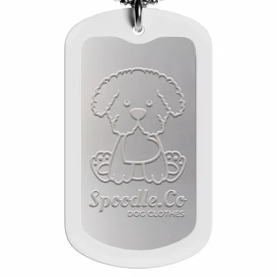 White - All Signs Today